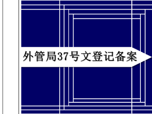 外管局37號文登記備案