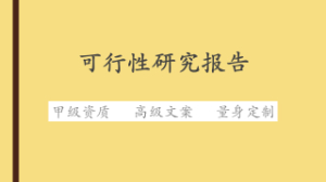 可行性研究報告怎么寫？